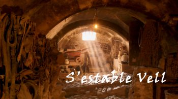 10. S'estable vell