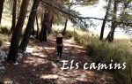 13. Camins